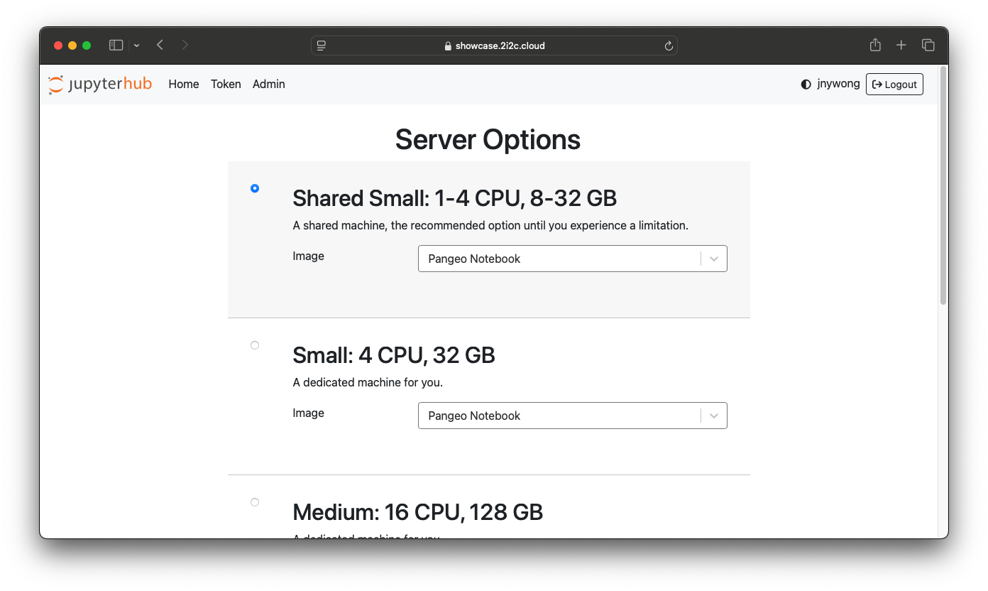Server Options page example